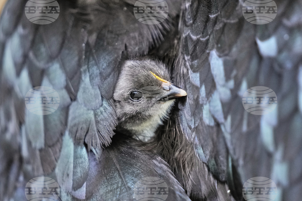 AP Top Photos of the Month July 2025
