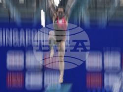 Singapore Swimming Worlds