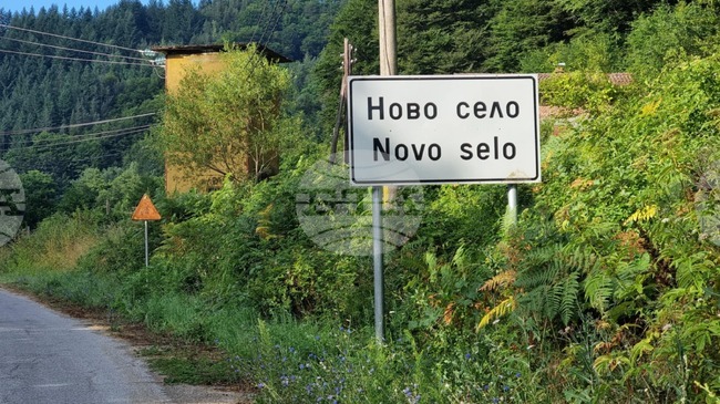 В Кюстендил определиха защитна и надзорна зони заради огнище на шарка по овцете и козите