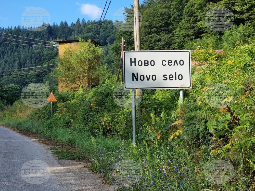 Две са заболелите животни от син език в кюстендилското с. Ново село, според кметския наместник
