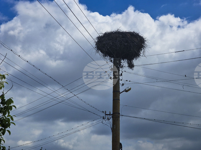 EVN България отчете 2,5 млрд. лв. инвестиции и готовността си за зимния сезон пред областните управители в Югоизточна България