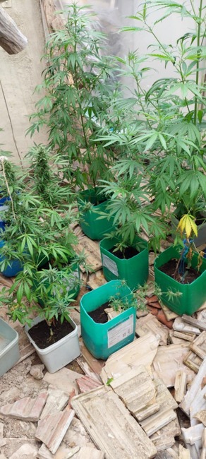 Полицията в Търговище задържа мъж, шофирал след употреба на наркотици