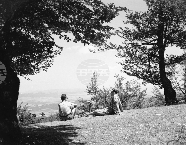 Observances: October 10