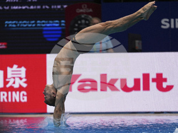 Singapore Swimming Worlds