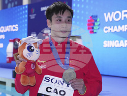 Singapore Swimming Worlds