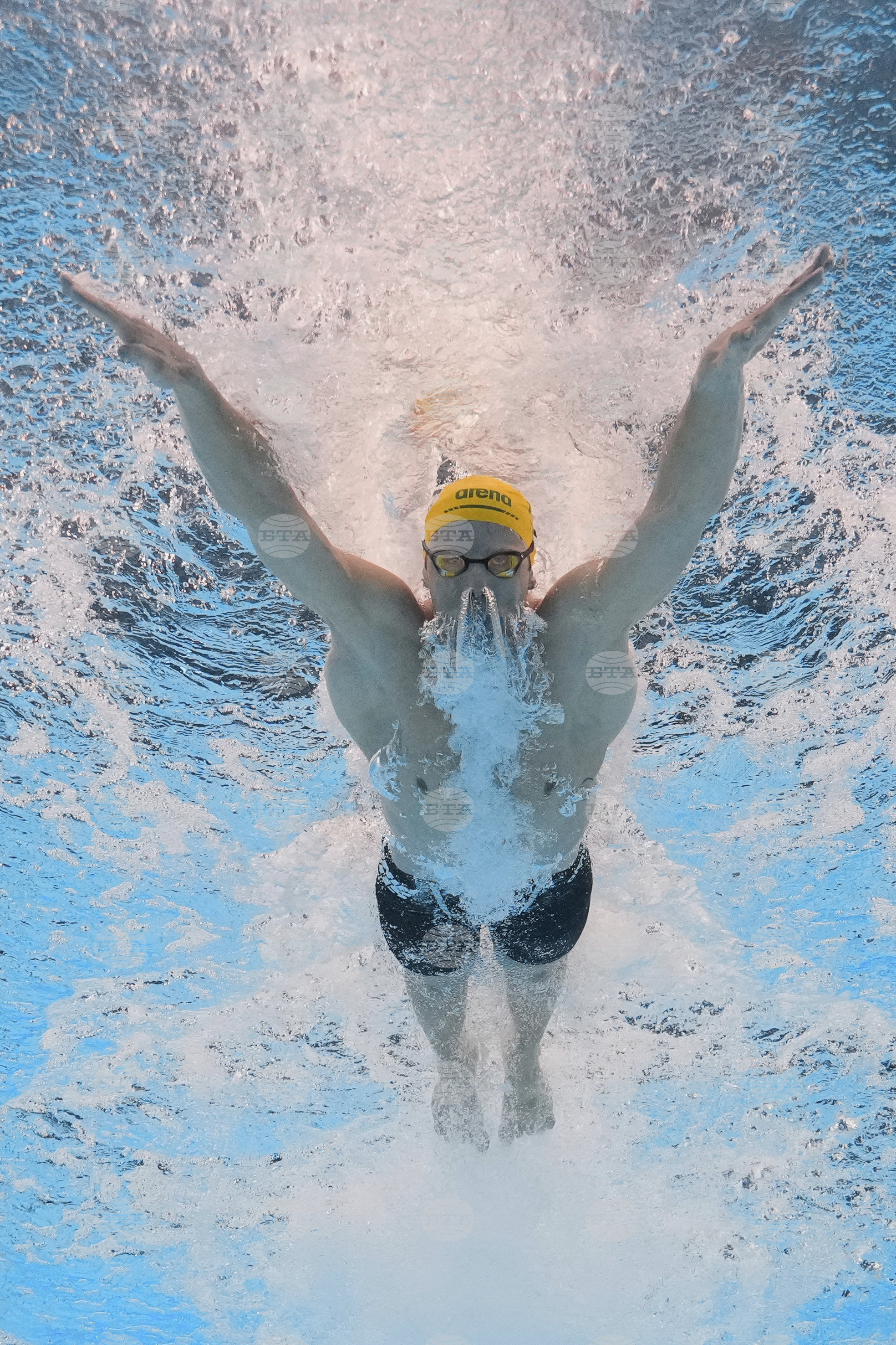 Singapore Swimming Worlds
