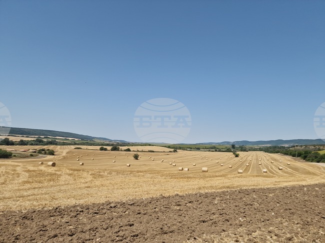 Земеделската земя в Търговищко поскъпва с над 16 процента през 2024 г. на годишна база