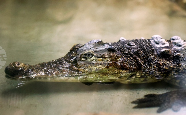 The Weather on August 14