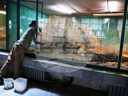 Столичен зоопарк - крокодил