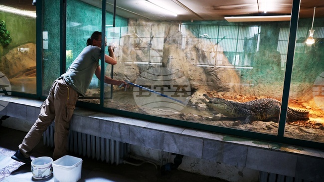 Зоологическата градина в София няма да работи от 1 до 4 януари