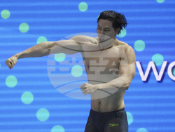 Singapore Swimming Worlds