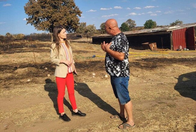 Предприемат се стъпки за обезщетяване на фермер, загубил 21 крави в пожара в Сакар планина, съобщи областната администрация в Хасково