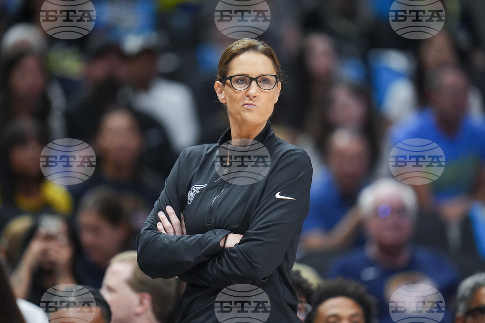 Fever Wings Basketball