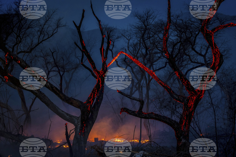 Argentina Fires