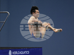 Singapore Swimming Worlds