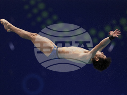 Singapore Swimming Worlds