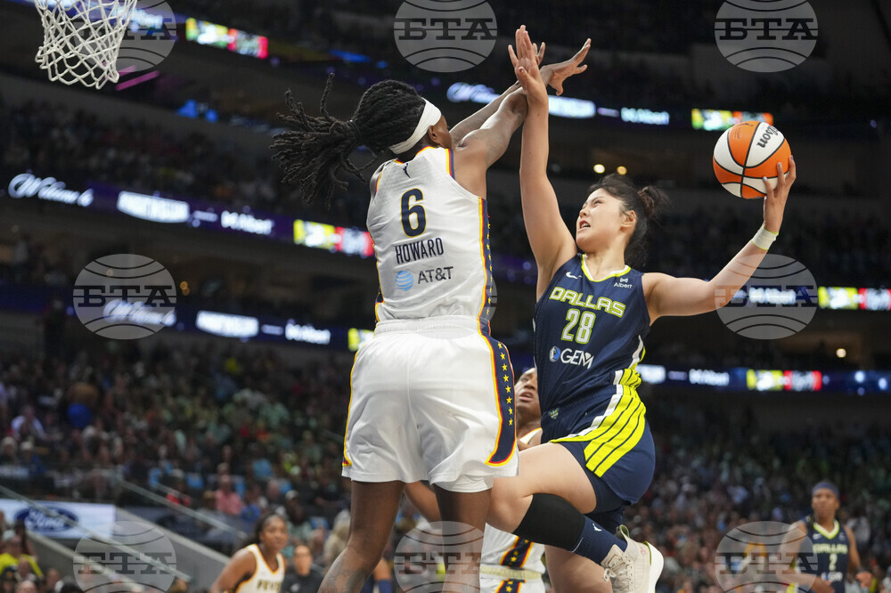 Fever Wings Basketball