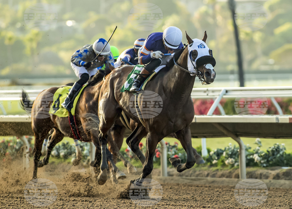 Del Mar Horse Racing