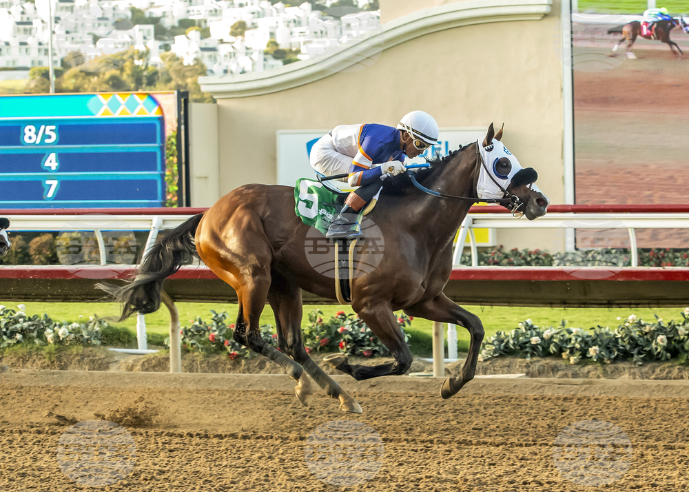 Del Mar Horse Racing