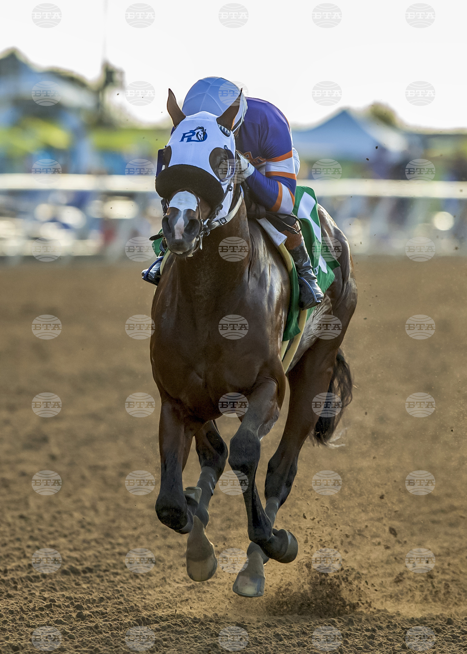 Del Mar Horse Racing