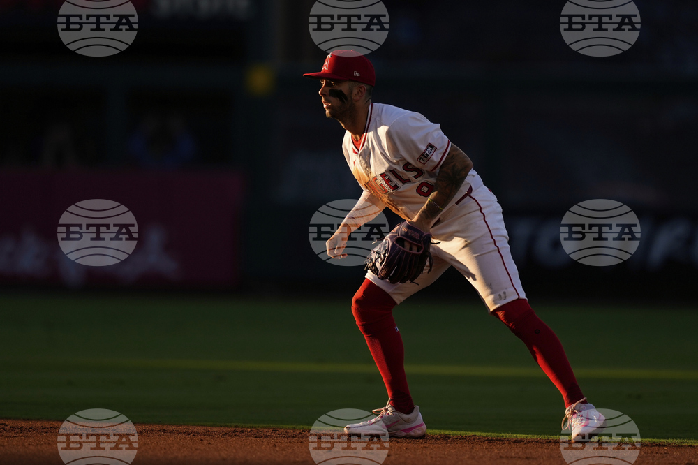 White Sox Angels Baseball