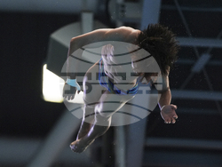 Singapore Swimming Worlds