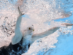 Singapore Swimming Worlds