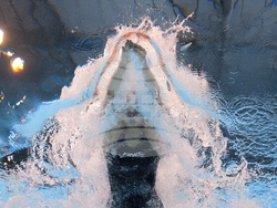 Singapore Swimming Worlds
