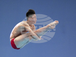 Singapore Swimming Worlds