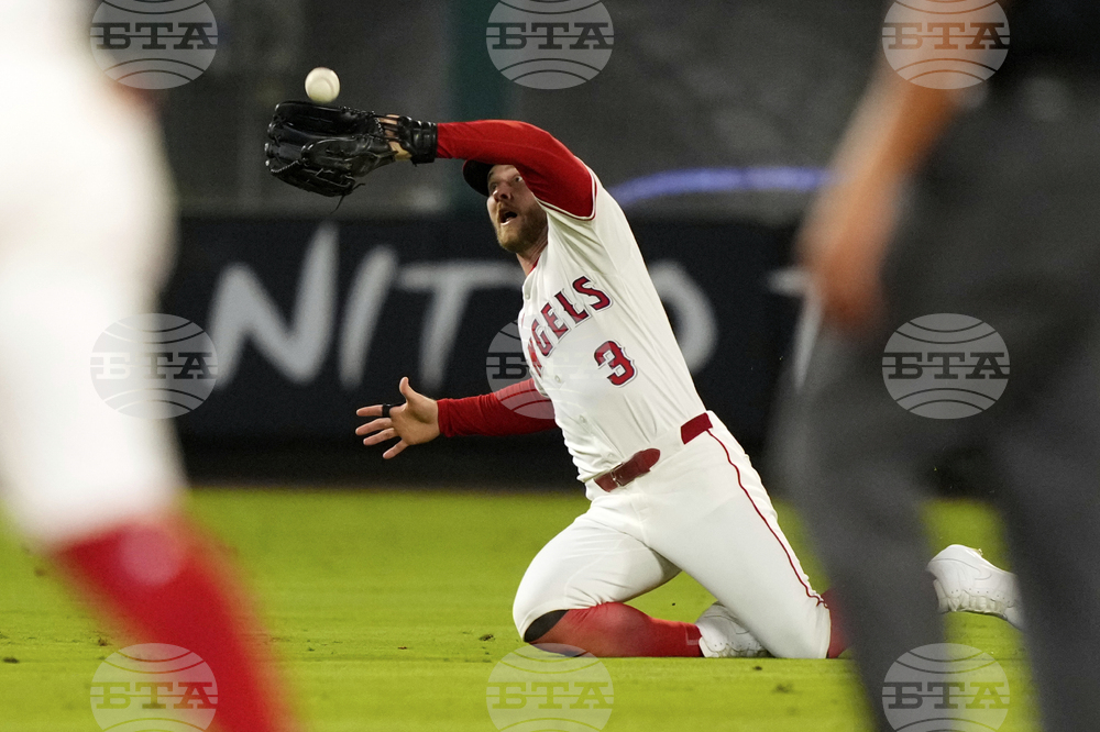 White Sox Angels Baseball