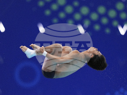 Singapore Swimming Worlds