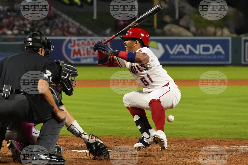 White Sox Angels Baseball