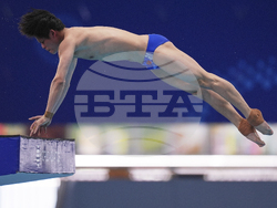Singapore Swimming Worlds