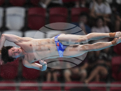 Singapore Swimming Worlds
