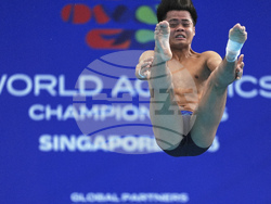 Singapore Swimming Worlds