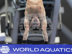 Singapore Swimming Worlds