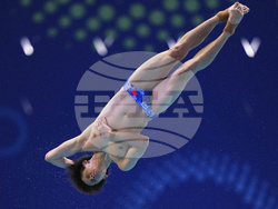 Singapore Swimming Worlds