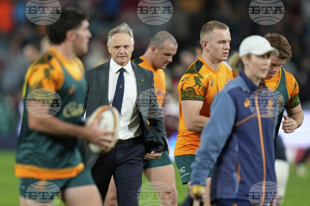 Australia Lions Rugby