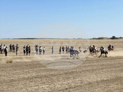 Завет - конни състезания - празник