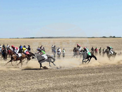 Завет - конни състезания - празник