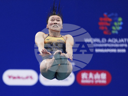 Singapore Swimming Worlds