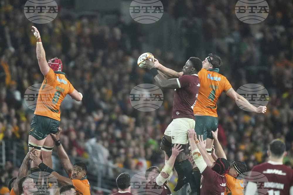 Australia Lions Rugby