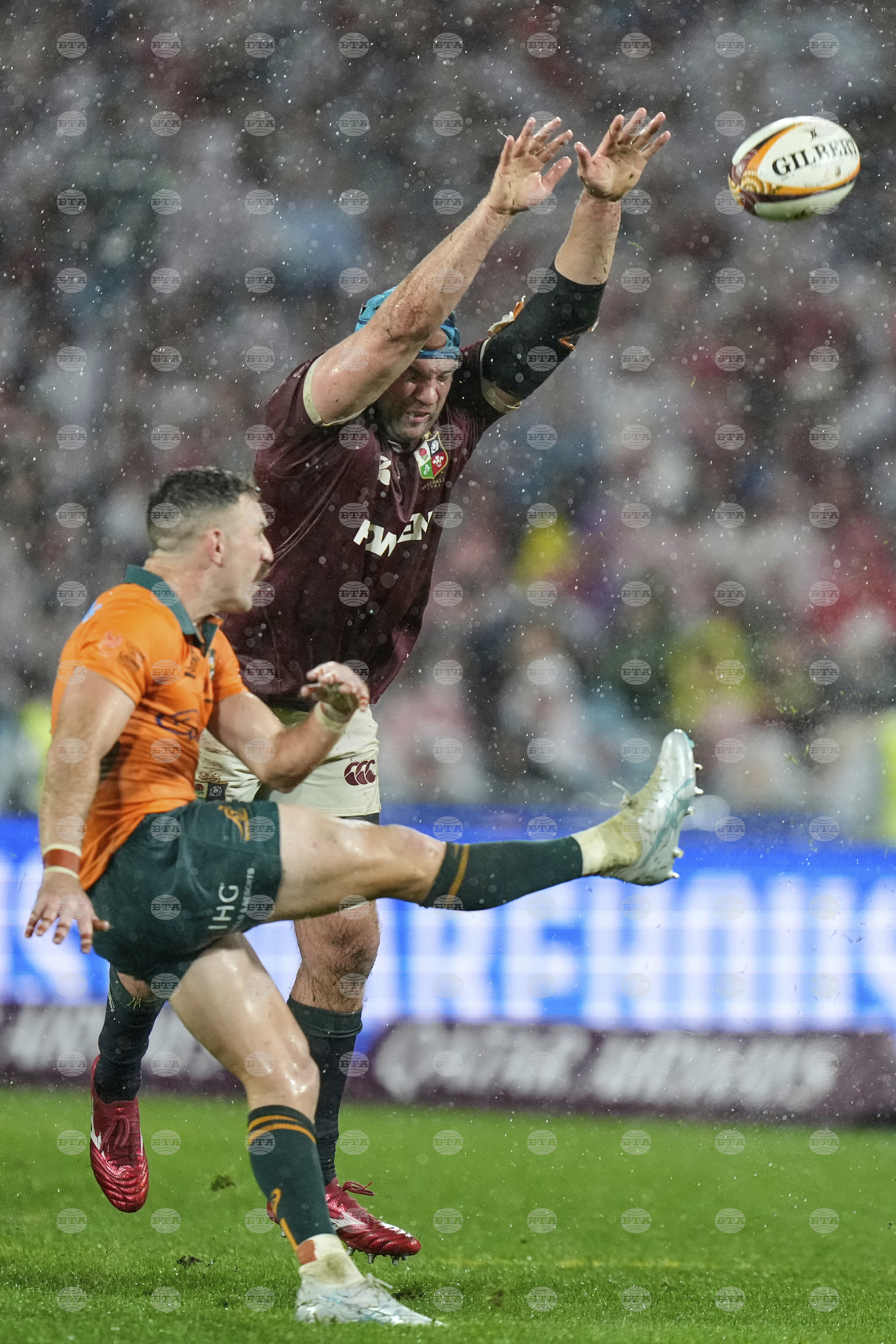 Australia Lions Rugby