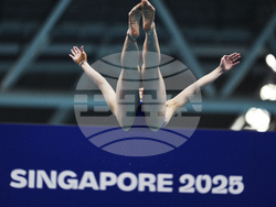 Singapore Swimming Worlds