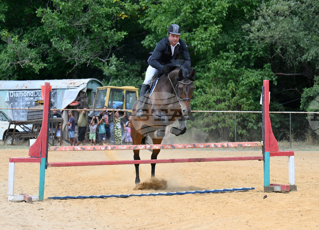 Конни състезания по прескачане на препятствия направиха във Вършец за празника на града