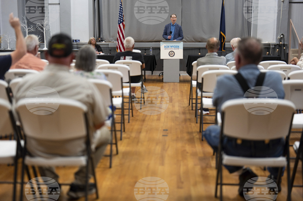 Democrats-Wyden's Role