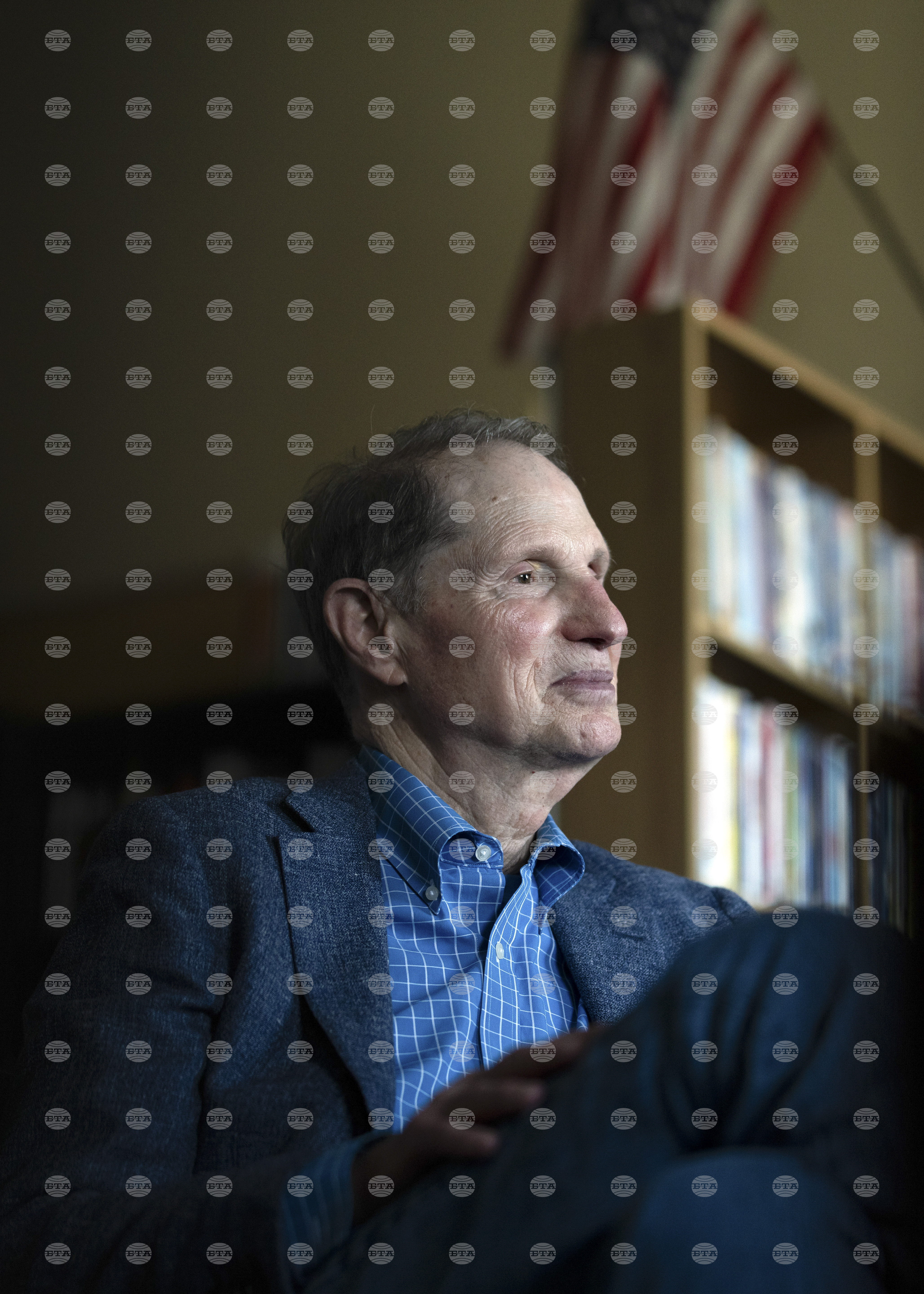 Democrats-Wyden's Role