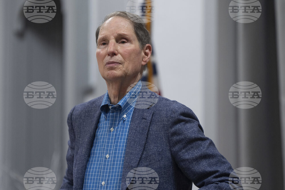 Democrats-Wyden's Role