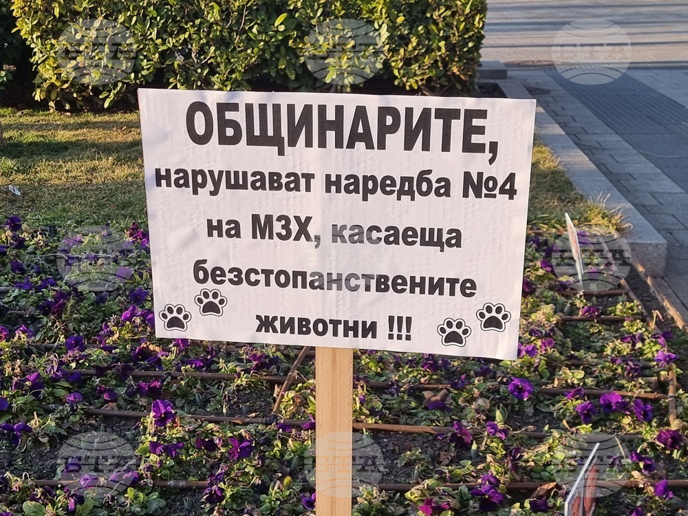 Плевен - протест - граждани