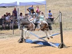 Вършец - конни състезания